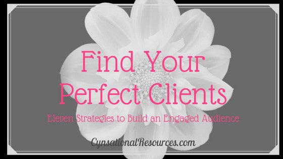 Find Your Perfect Clients - Eleven Strategies to Build an Engaged Audience